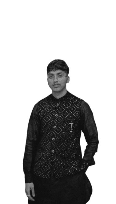 Developer